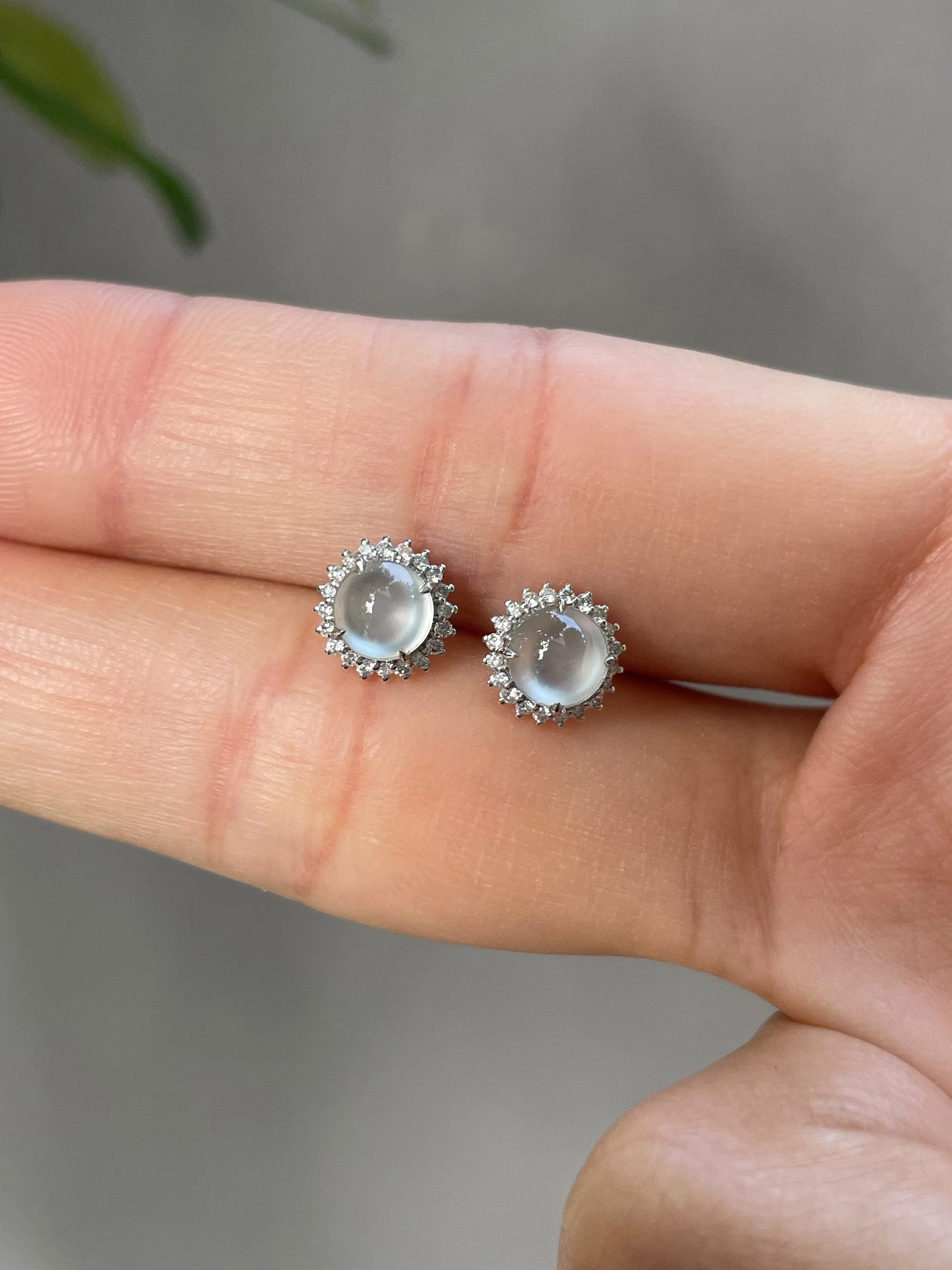 Glassy Jadeite Cabochon Earrings (NJE024)