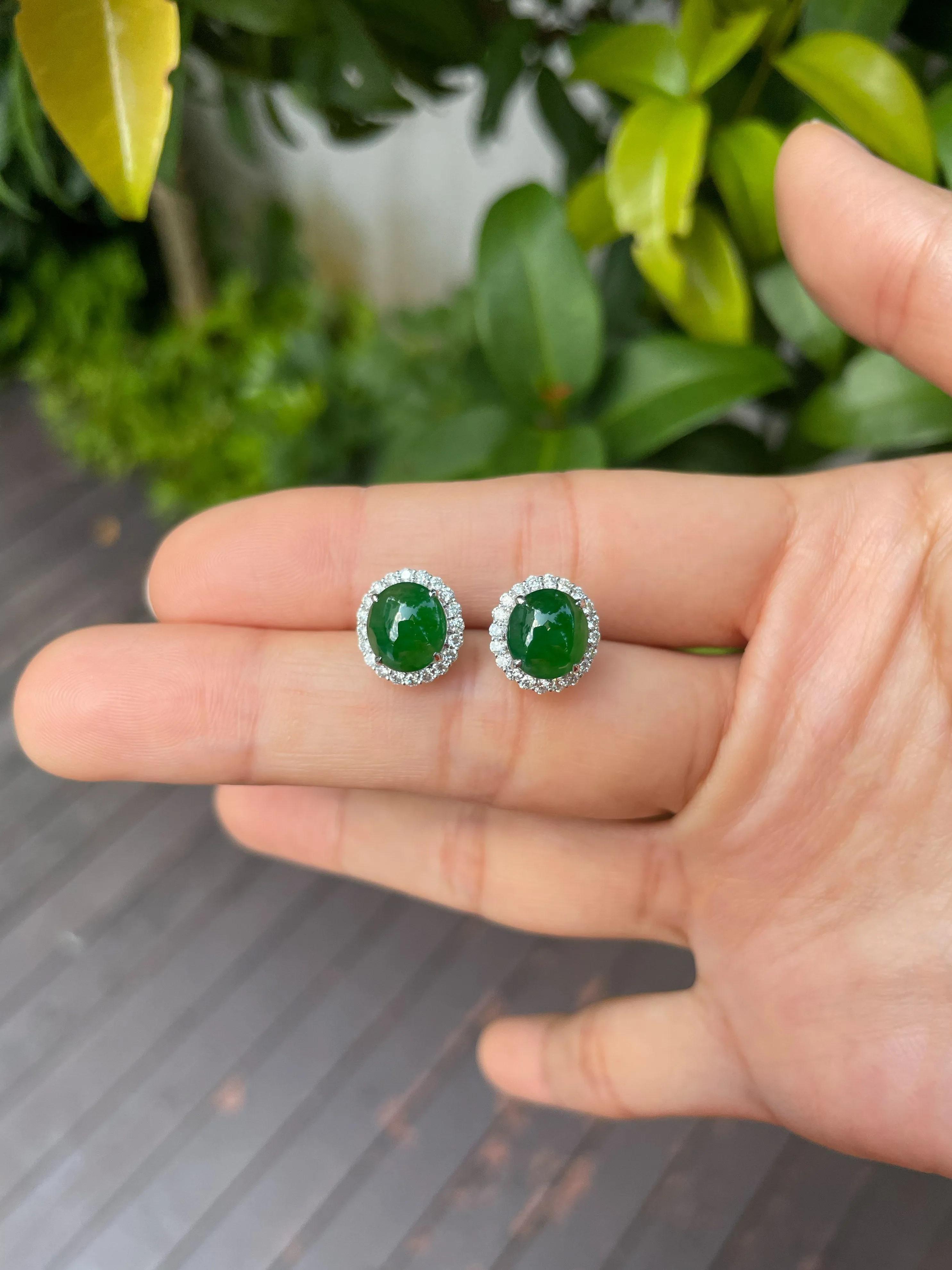 Green Jade Earrings - Cabochons (NJE091)