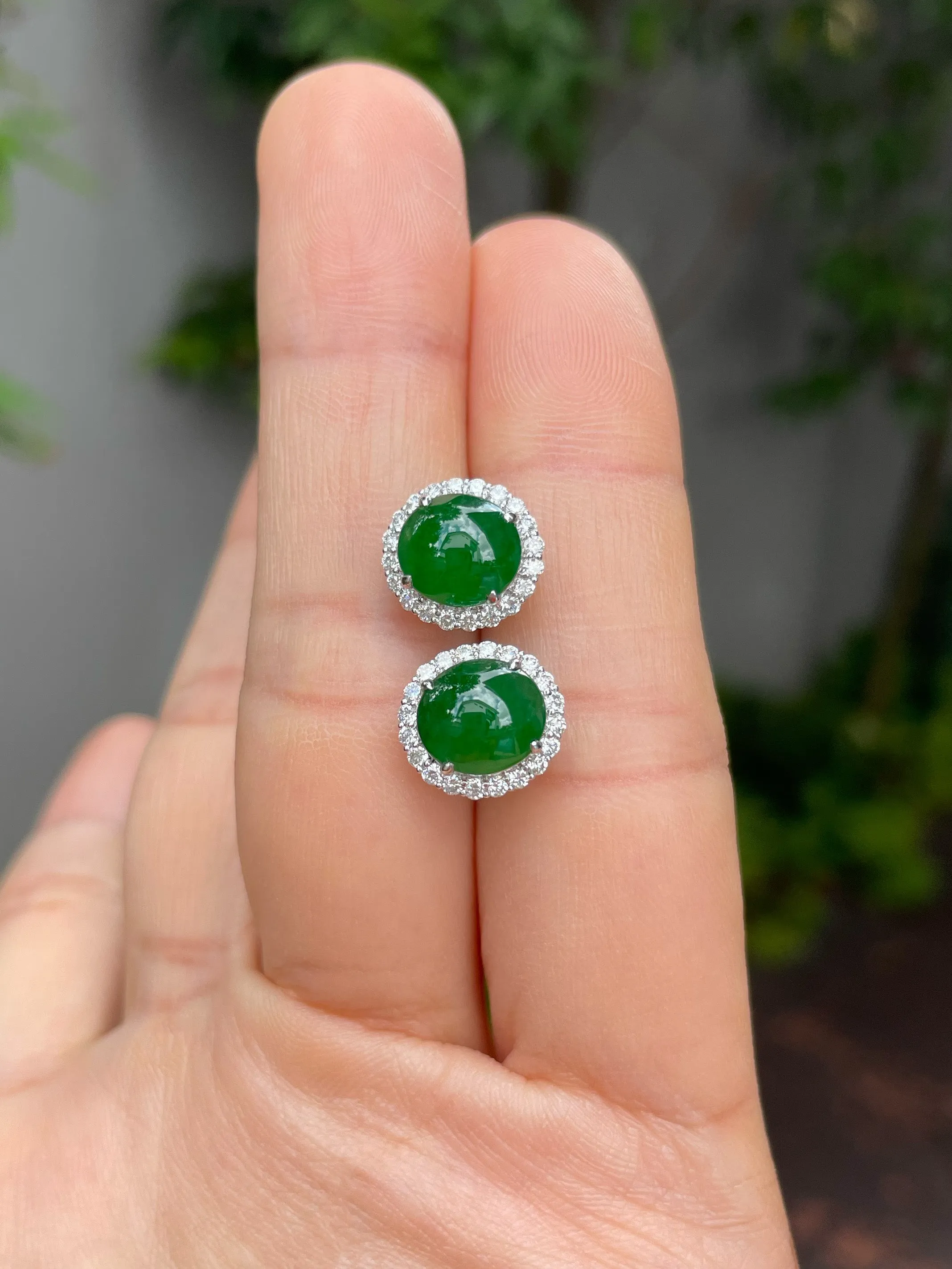 Green Jade Earrings - Cabochons (NJE091)