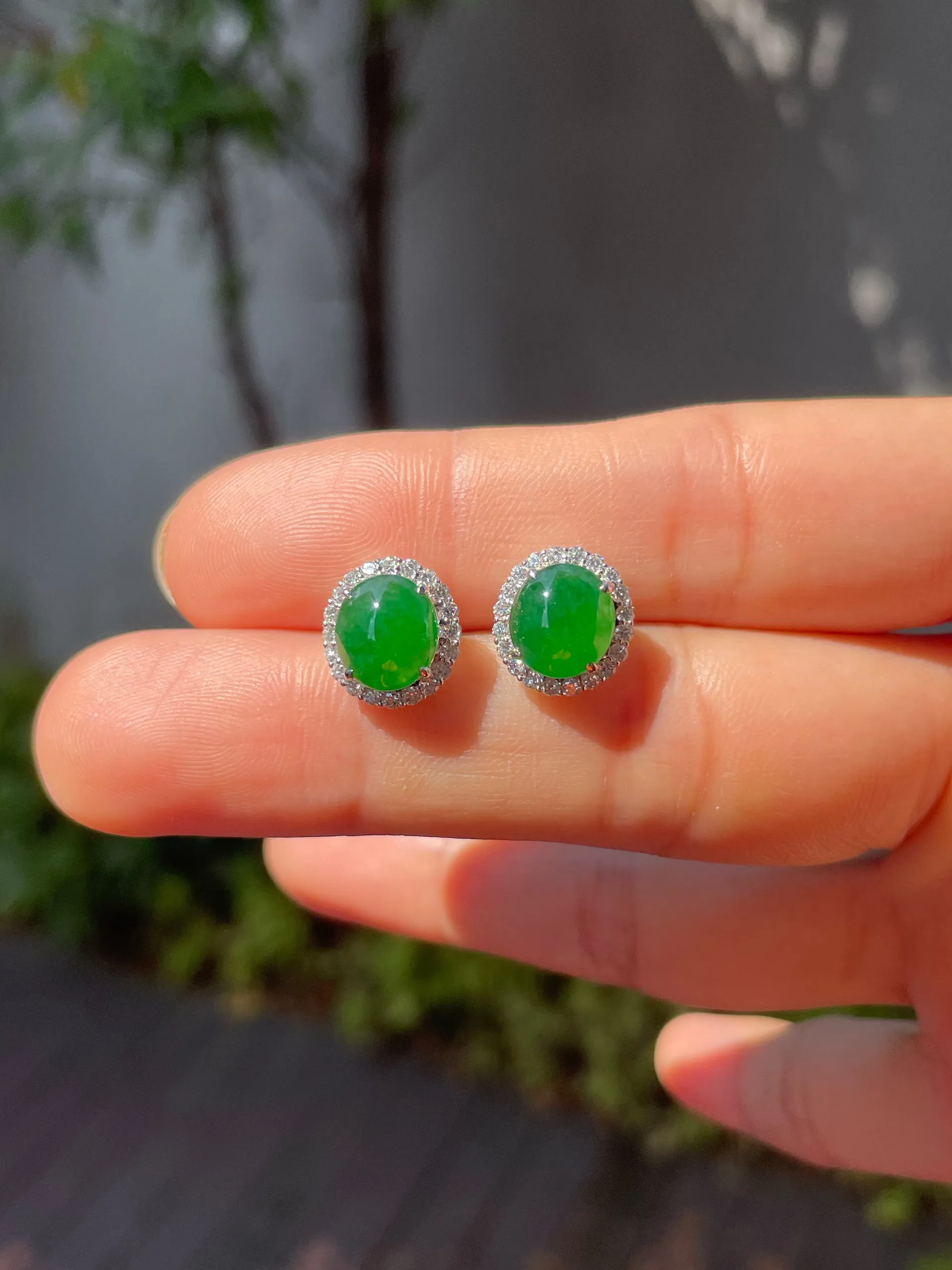 Green Jade Earrings - Cabochons (NJE091)