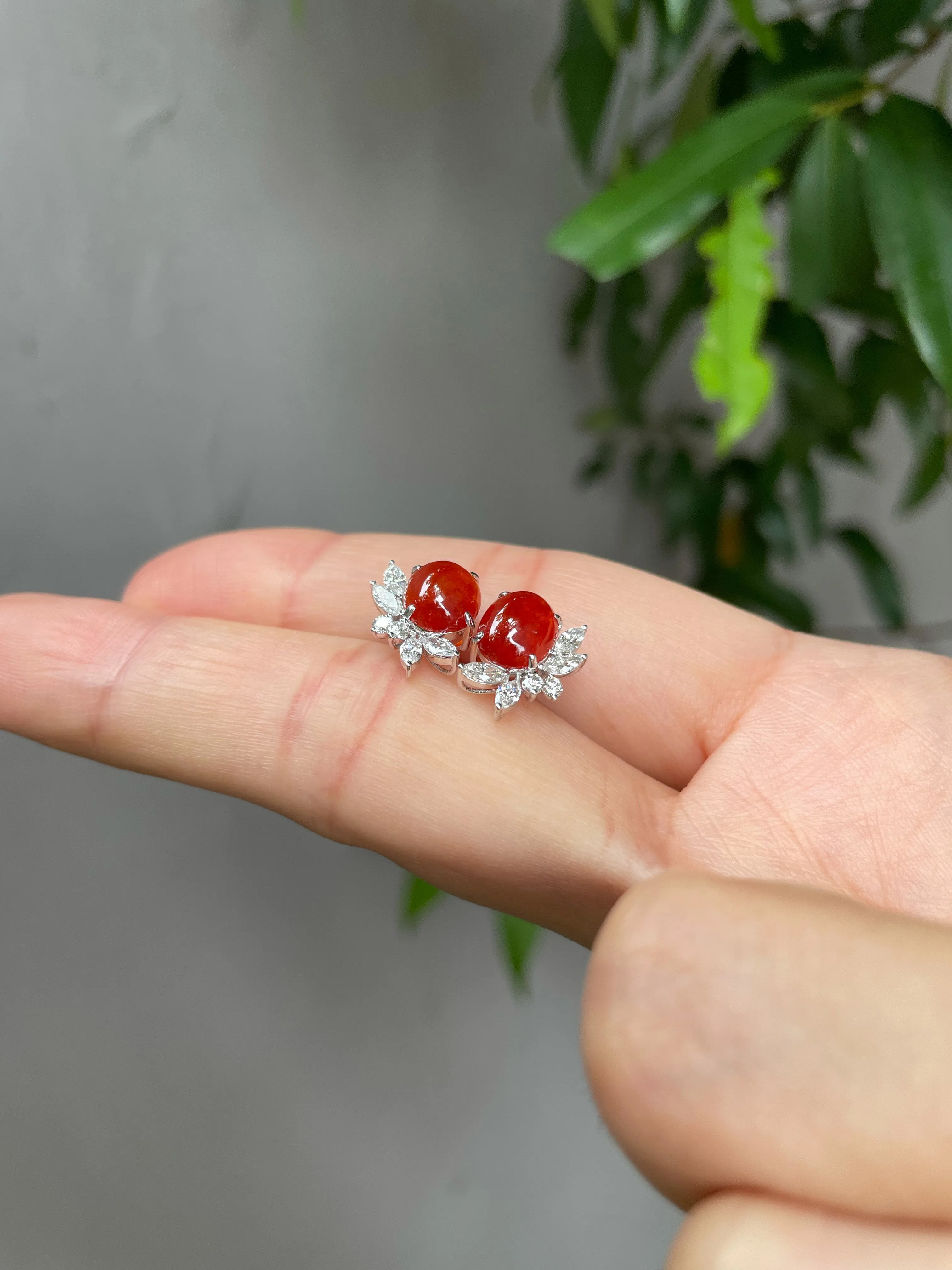 Red Jade Cabochon Earrings (NJE035)