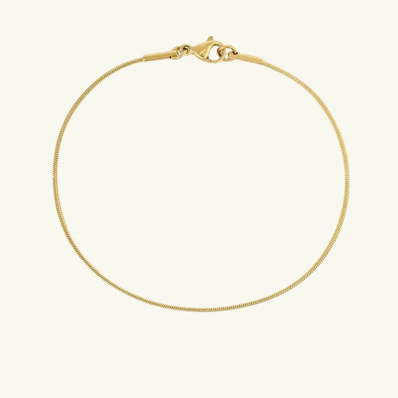 Snake Chain Bracelet